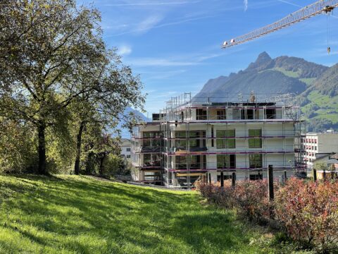 Blumen Müller Schwyz, Baufoto Aufrichten Attika, marty architektur